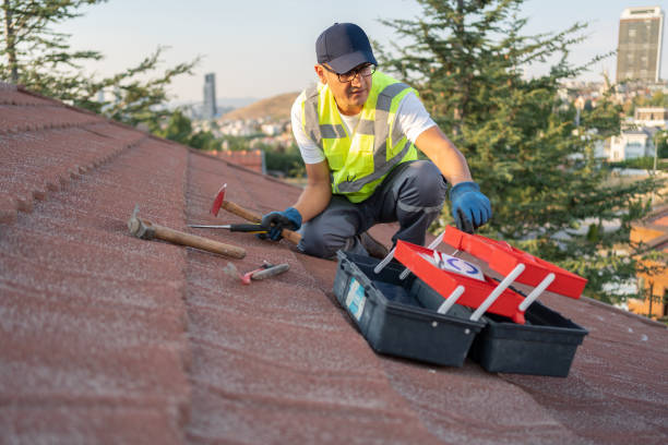 Best Historical Building Siding Restoration  in Scanlon, MN
